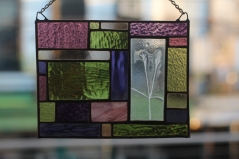 Stained Glass Phlox Enverre