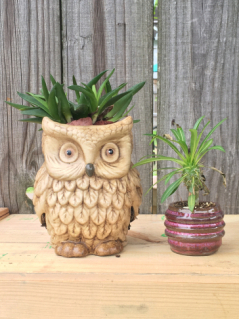 up cycled owl & pink