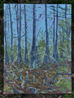 Atchafalaya Study / Dec 2023