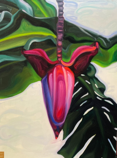 Banana Flower
