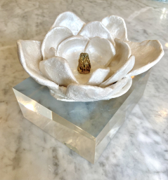 Magnolia II