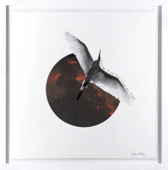 Icarus