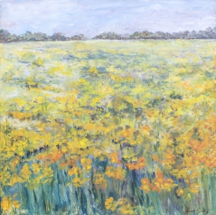Field of Yellow Flowers  IV