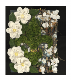 Magnolia Swamps (Dark Green)
