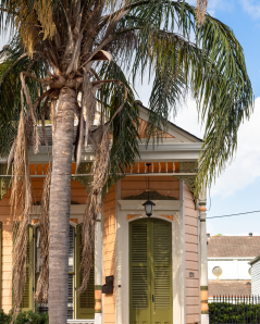 Palm Tree Entranceway