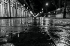 Puddle Jumpin' (B&W)