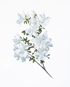 Azalea Botanical Original Painting