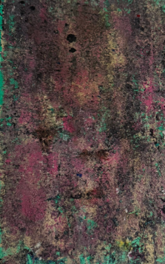 "Flowers in a Field"