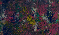 "Spring Rain"