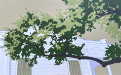 Washington Ave Oak