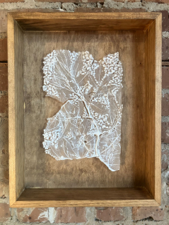 Wite Elderberry frit de verre print