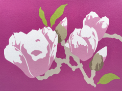 Japanese Magnolias #3