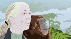 Messenger of Hope - Jane Goodall