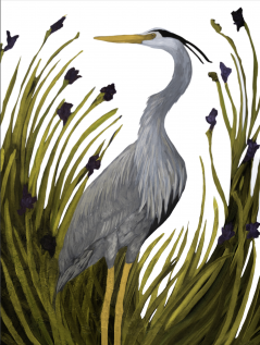 Heron among the Irises