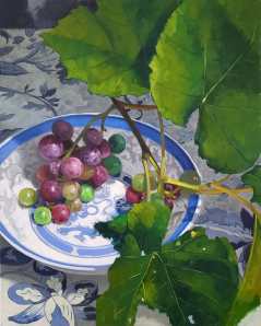Muscadine grapes on blue plate
