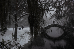 New Orleans Snow Day