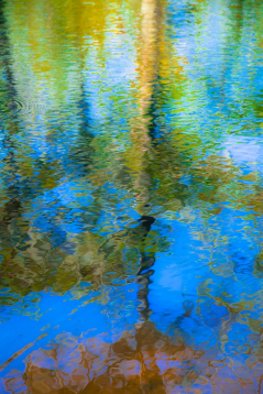 Water Reflections, vertical -2198