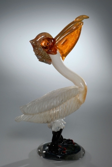 White Pelican / Main Image