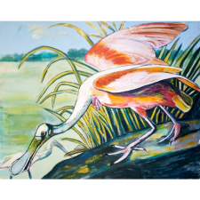 Louisiana Roseate Spoonbill in the Marsh / Main Image