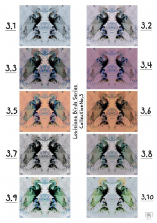 Louisiana Birds Series - Collection No.3 - Color Chart