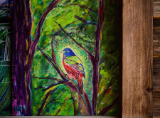 Painted Bunting / Main Image