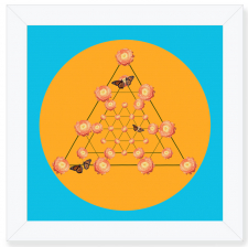 Ranaculus Nexus Orange and Blue Framed Print / Main Image