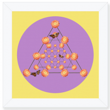 Ranaculus Nexus Purple and Yellow Framed Print / Main Image