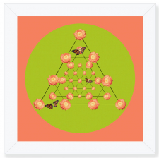 Ranaculus Nexus lime Green and Pink Framed Print / Main Image