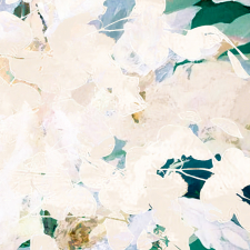 A Study in Patience - Floral Abstract / Main Image