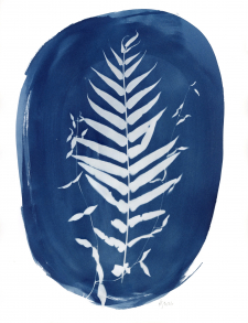Banquette - Ferns & Cats Claw / Main Image