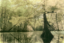 Bayou Fantasy / Main Image