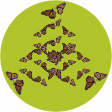 Monarch Triangle / Main Image