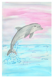 Dolphin Gaze / Main Image
