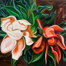 Magnolia flowers / Main Image