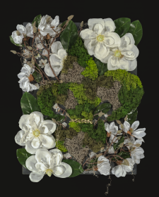 Camouflage Fleur De Lis / Main Image