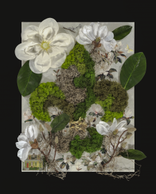 Camouflage Fleur De Lis  and Double Shotgun / Main Image
