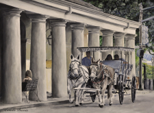 New Orleans Horse and Buggy / Main Image