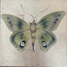 Moth II / Main Image