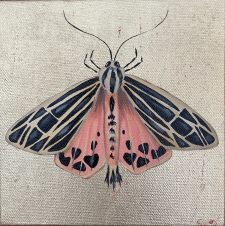 Moth IV / Main Image