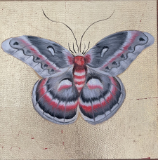 Moth VI / Main Image