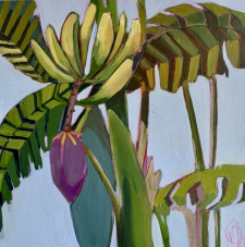 Beaucoup / Main Image