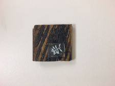 Tiny Oregano Enverre on Reclaimed Wood / Main Image