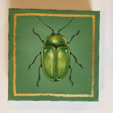 Jewel Beetle 1 / Main Image