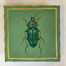 Jewel Beetle 9 / Main Image