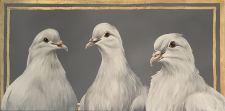 Pigeon Trio / Main Image