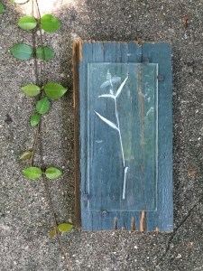Spiderwort Enverre on Reclaimed Wood / Main Image