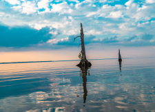 Quiet Corner of Maurepas / Main Image