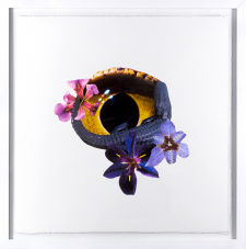 Louisiana Rorschach #2 / Main Image