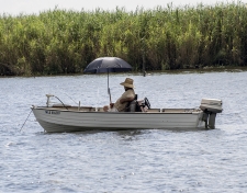 River Shots Louisiana Fisherman / Main Image