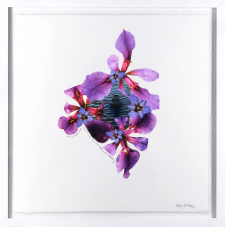 Louisiana Rorschach / Main Image